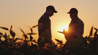 farmer talking pinnacle 