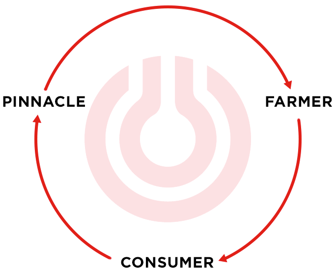 pinnacle consumer farmer eco system